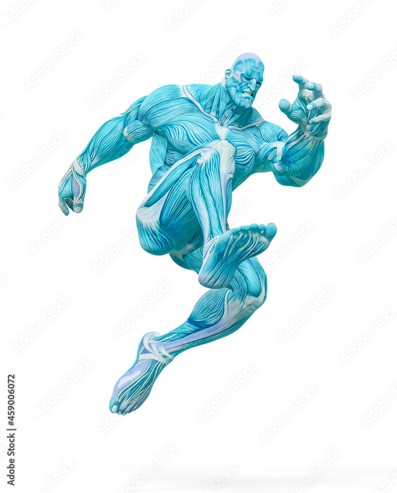 bodybuilder muscle maps is jumping in white background bodybuilder muscle maps is jumping in white background