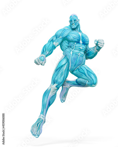 bodybuilder muscle maps is landing in action in white background