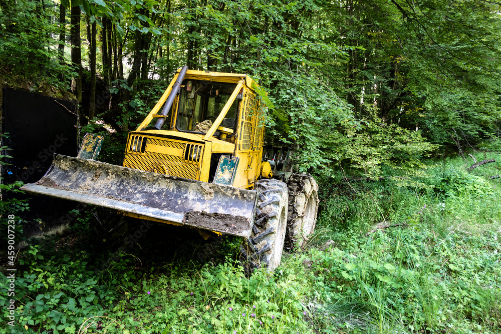 Forest tractor for logging after sawing trees, heavy forestry equipment Forest tractor for logging after sawing trees, heavy forestry equipment