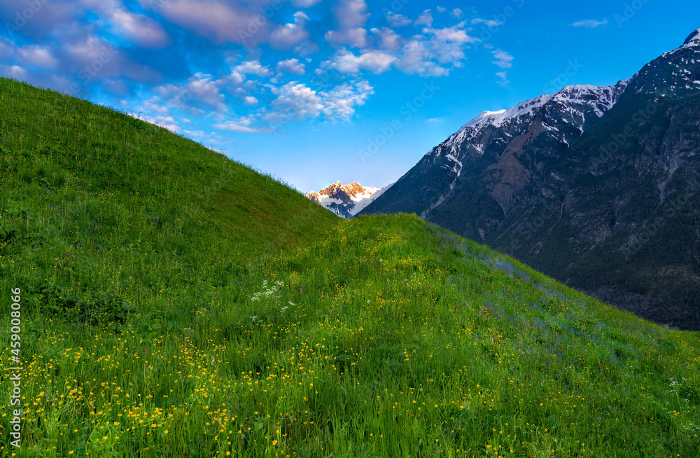 Fototapeta premium landscape with sky