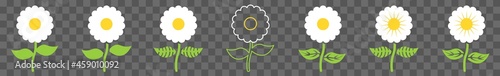 Fényképezés Daisy Flower Icon White Daisy Flower Set | Daisy Flowers Icon Blossom Vector Ill