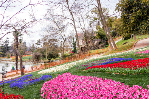 Emirgan Grove with many flower species, 2021-31 March, Istanbul, Turkey © stocktr