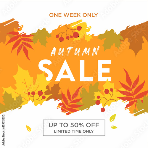 Autumn sale banners. Abstract with colorful falling leaves. Fallen foliage background. Promo badge for your seasonal design. Vector