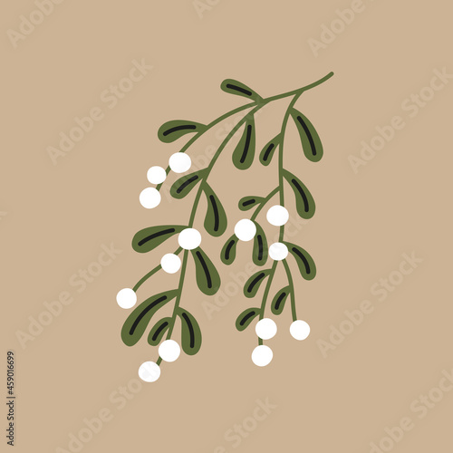 Branch of mistletoe with white berries. Christmas vector illustration