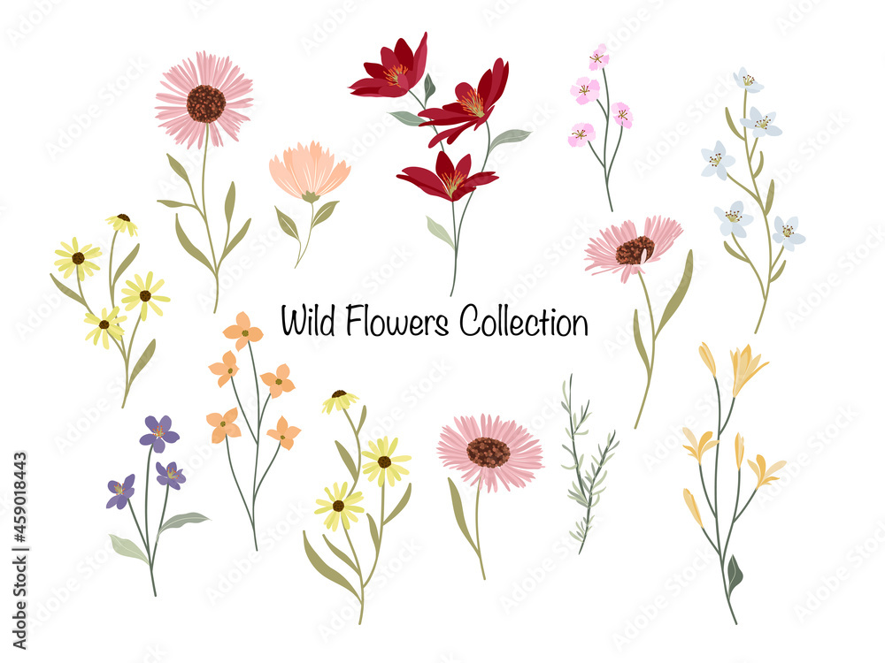 Naklejka premium Wild Flowers Bunch Collection