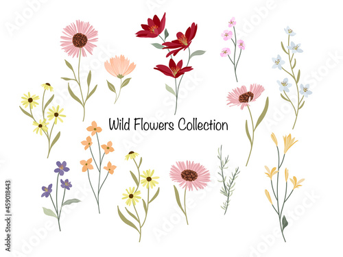 Wild Flowers Bunch Collection