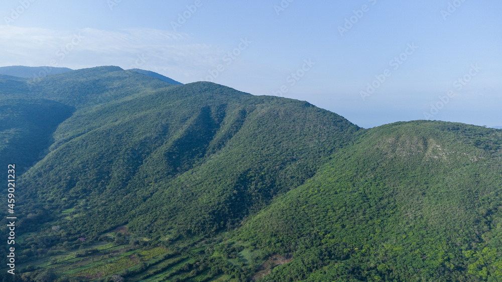 Obraz premium ALCOMUN