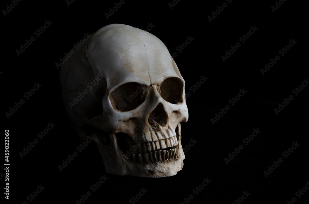 Scary eyeless white skull on black background