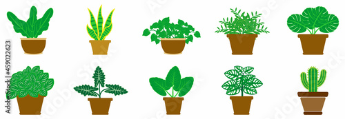 potted plants collection icon set, potted plant collections vector set sign symbol 