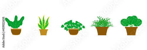 potted plants collection icon set, potted plant collections vector set sign symbol  © hartini