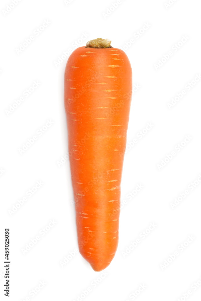Carrot isolated on white background. Carrot isolated on white background.