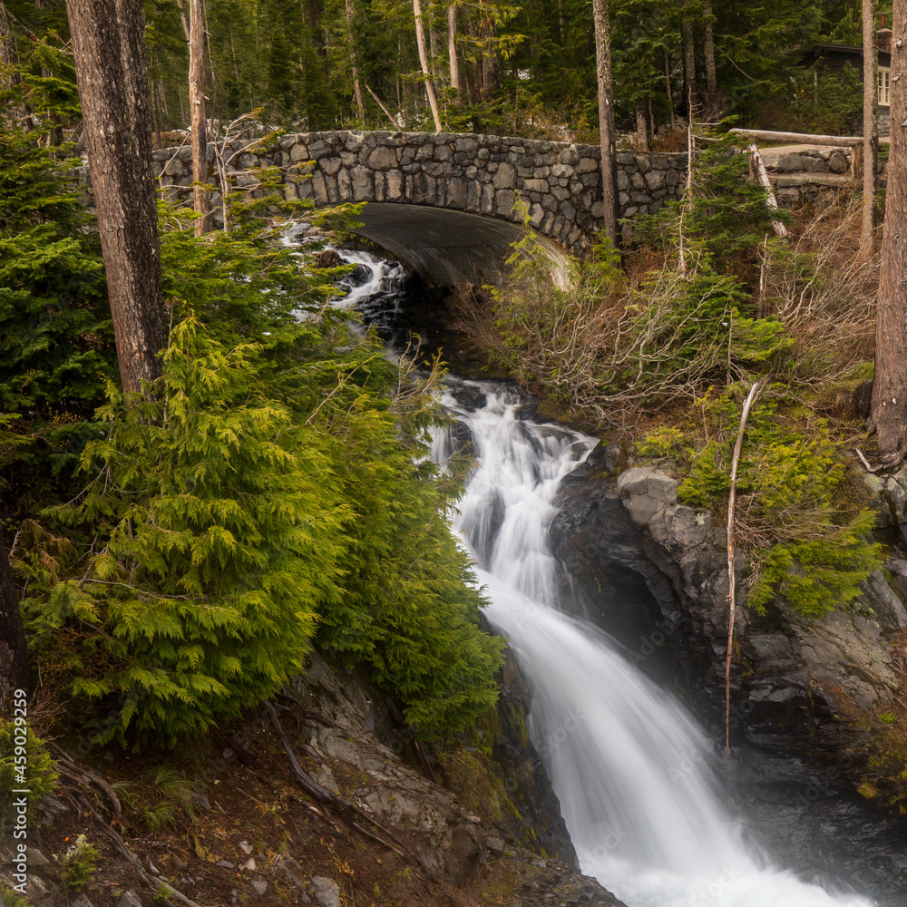 Paradise river and bridge near Narada Falls at Mount Rainier National Park in Washington State during summer. Paradise river and bridge near Narada Falls at Mount Rainier National Park in Washington State during summer.