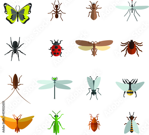 Insects wildlife flat vector icon collection set