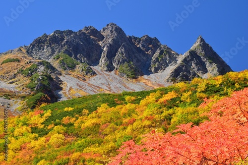 涸沢カールの紅葉と穂高連峰