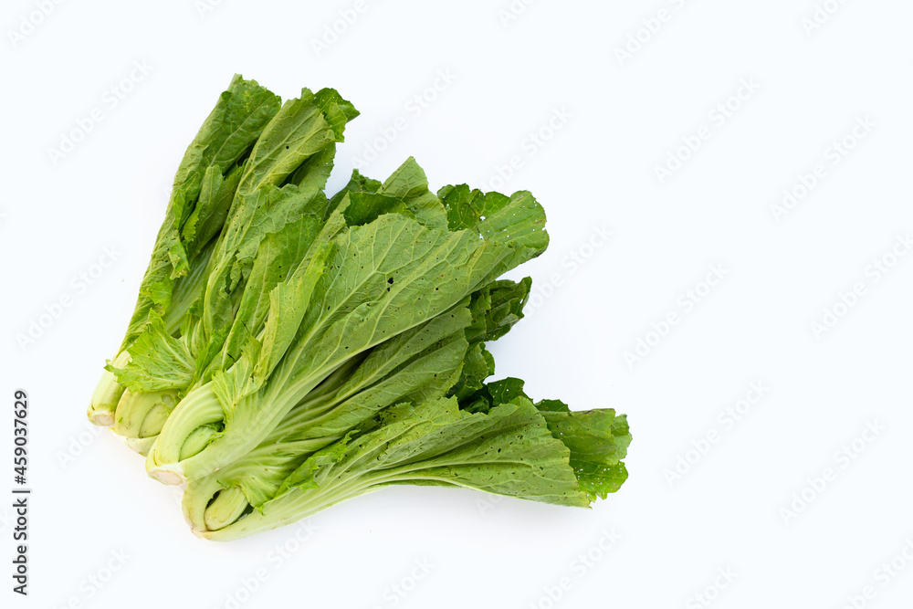 Organic mustard green on white background. Organic mustard green on white background.