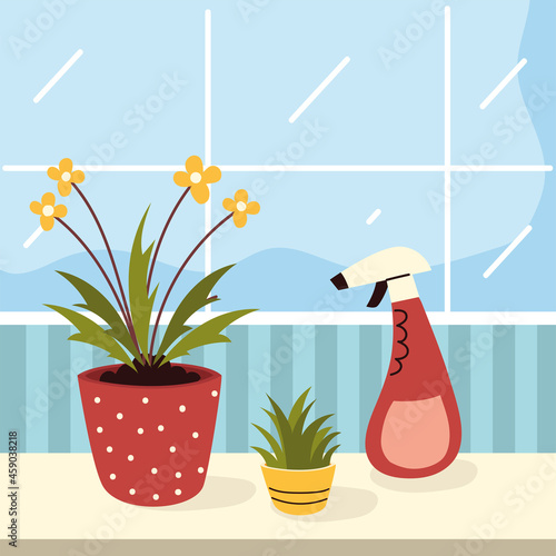houseplant care with water