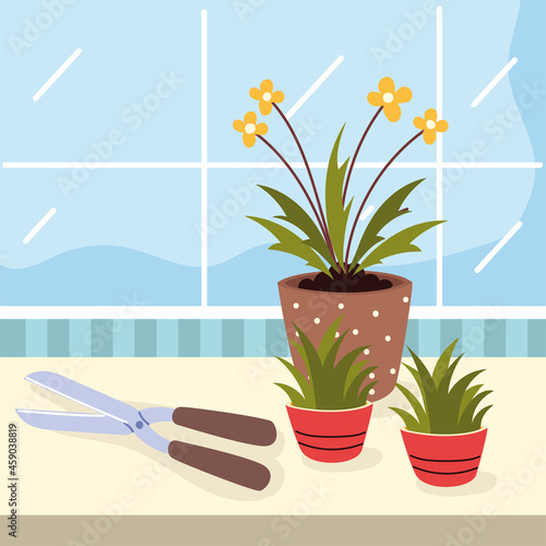 houseplant care and tool
