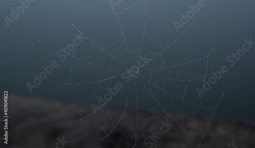 Tela de araña con rocio en una noche de halloween