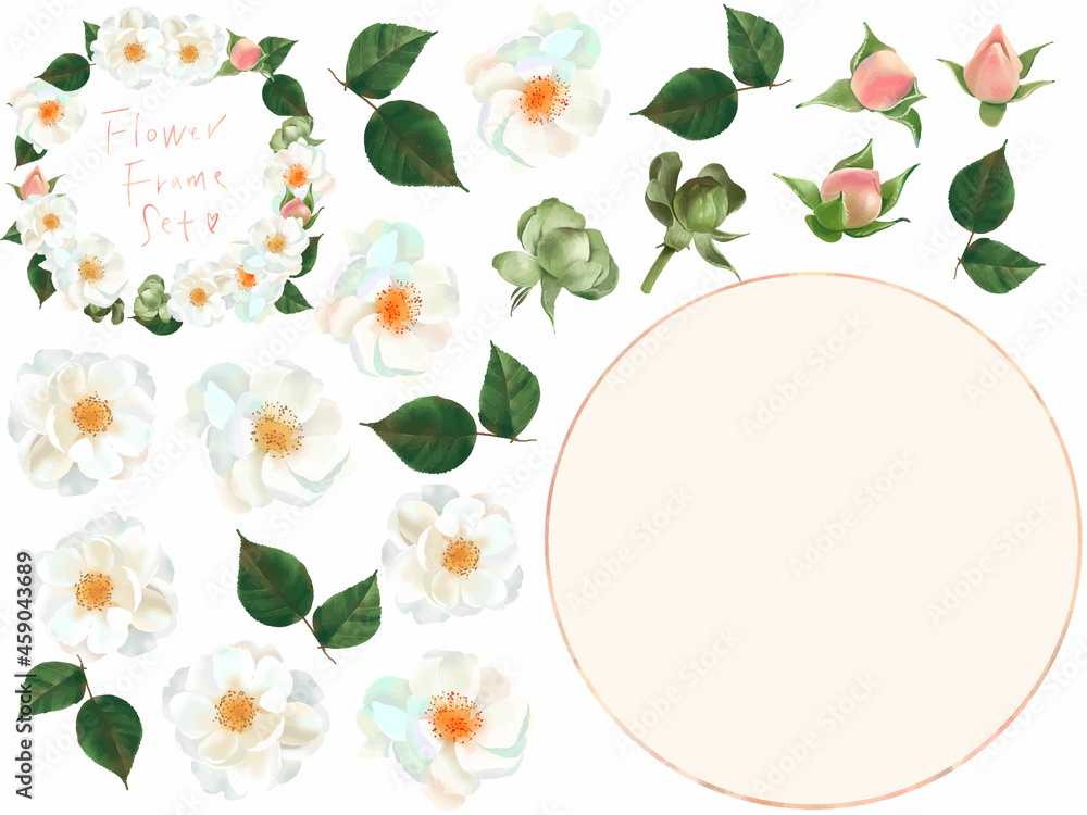 ベクター素材優しい色使いの薔薇の花とかわいいつぼみと葉っぱの白バックイラストとフローラルフレーム素材 Stock Vector Adobe Stock