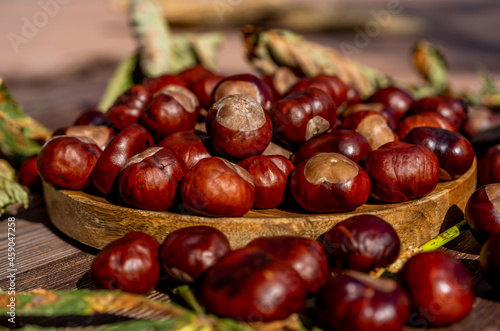 Chestnuts in a plate with dry leaves on a brown wooden table. Autumn still life with bright horse chestnuts on wooden background