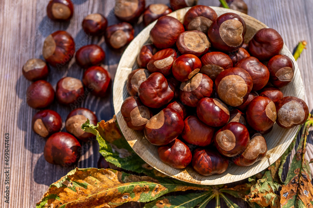 Chestnuts in a plate with dry leaves on a brown wooden table. Autumn still life with bright horse chestnuts on wooden background Chestnuts in a plate with dry leaves on a brown wooden table. Autumn still life with bright horse chestnuts on wooden background