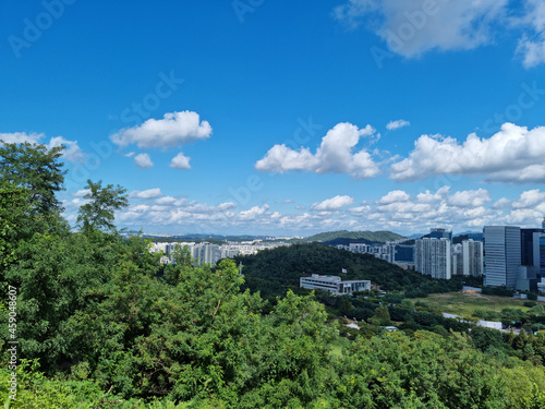 Landscape with city and forest