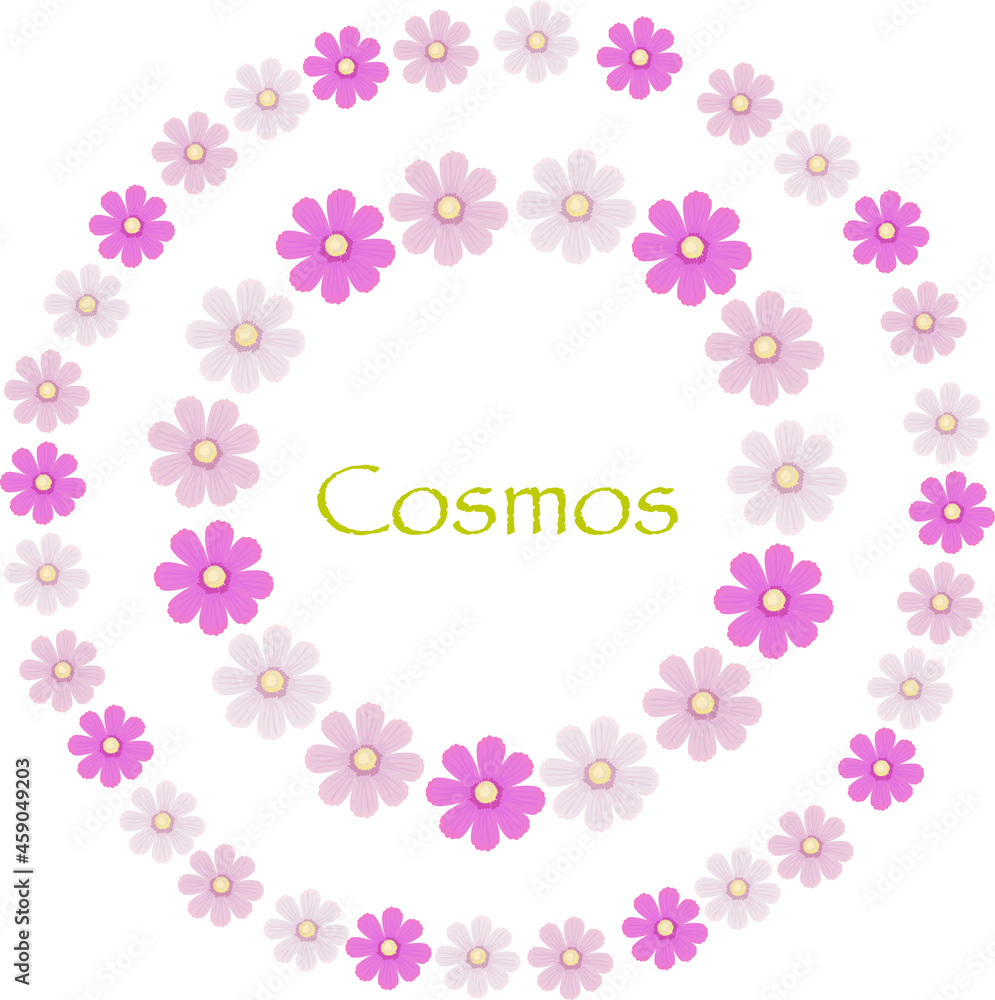 Cosmos flower wreath with vector illustration.