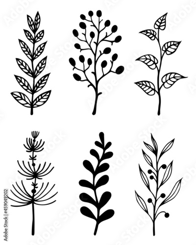 Branches and herbs vector set. Hand-drawn doodles isolated on white background. Twigs with leaves and berries. A sketch of a field grass with inflorescences. Botanical elements, monochrome.