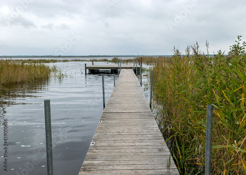 a wooden footbridge on the shore of the lake  overgrown with reeds on the shore of the lake