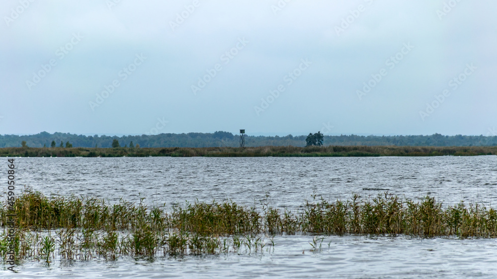 cloudy day, gray clouds, landscape with lake and reeds by the lake