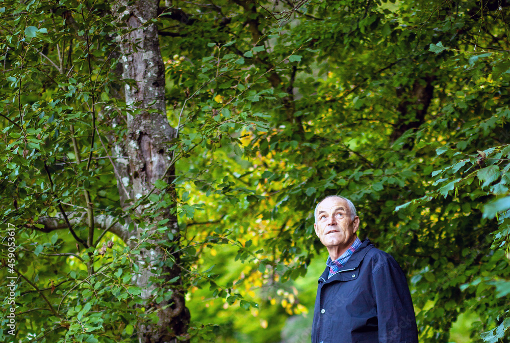old man in the forest old man in the forest