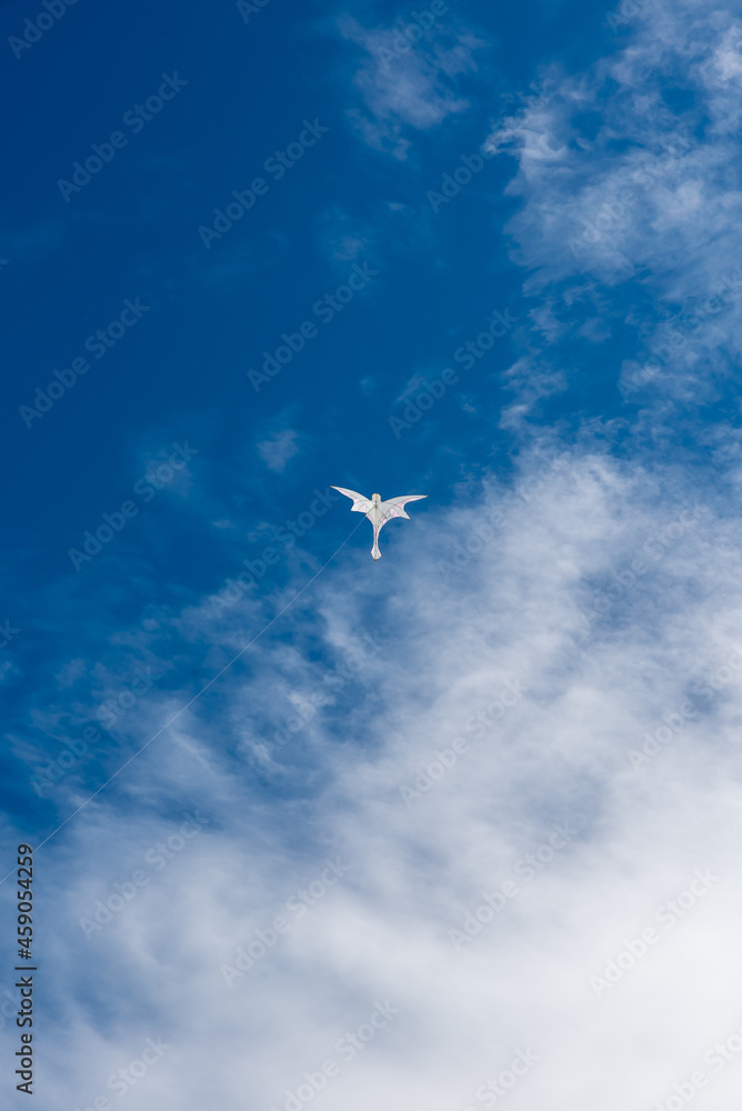 Fototapeta premium Colorful Kites flying over the sky