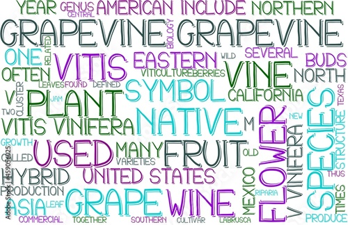 Grapevine Wordcloud Banner, Wallpaper, Background, Book Cover, Wordart