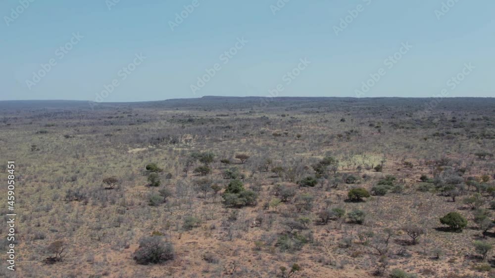 Aerial View High Above A Single Giraffe On Waterburg Plateau, Namibia Aerial View High Above A Single Giraffe On Waterburg Plateau, Namibia