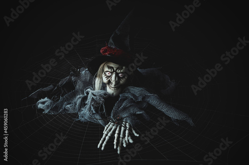 Witch crawling over spidercobweb