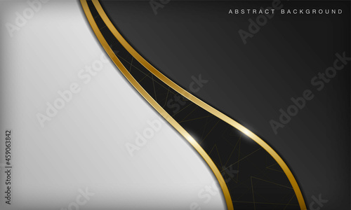Elegant abstract black and white curve background with line golden elements. Realistic luxury 3d modern concept.
