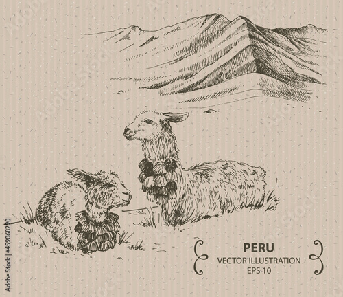 Rainbow mountains and Llamas, Peru, Hand drawn vector illustration