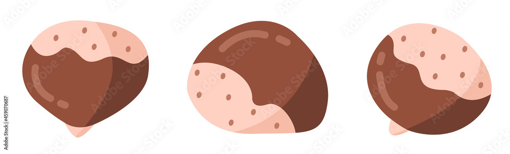 A set of peeled chestnuts. Vector illustration isolated on white background. A set of peeled chestnuts. Vector illustration isolated on white background.