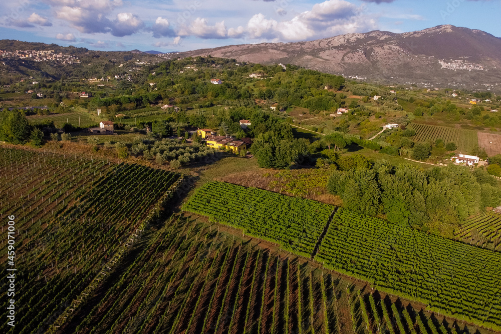 Cesanese's vineyards from drone near Olevano Lazio Italy
