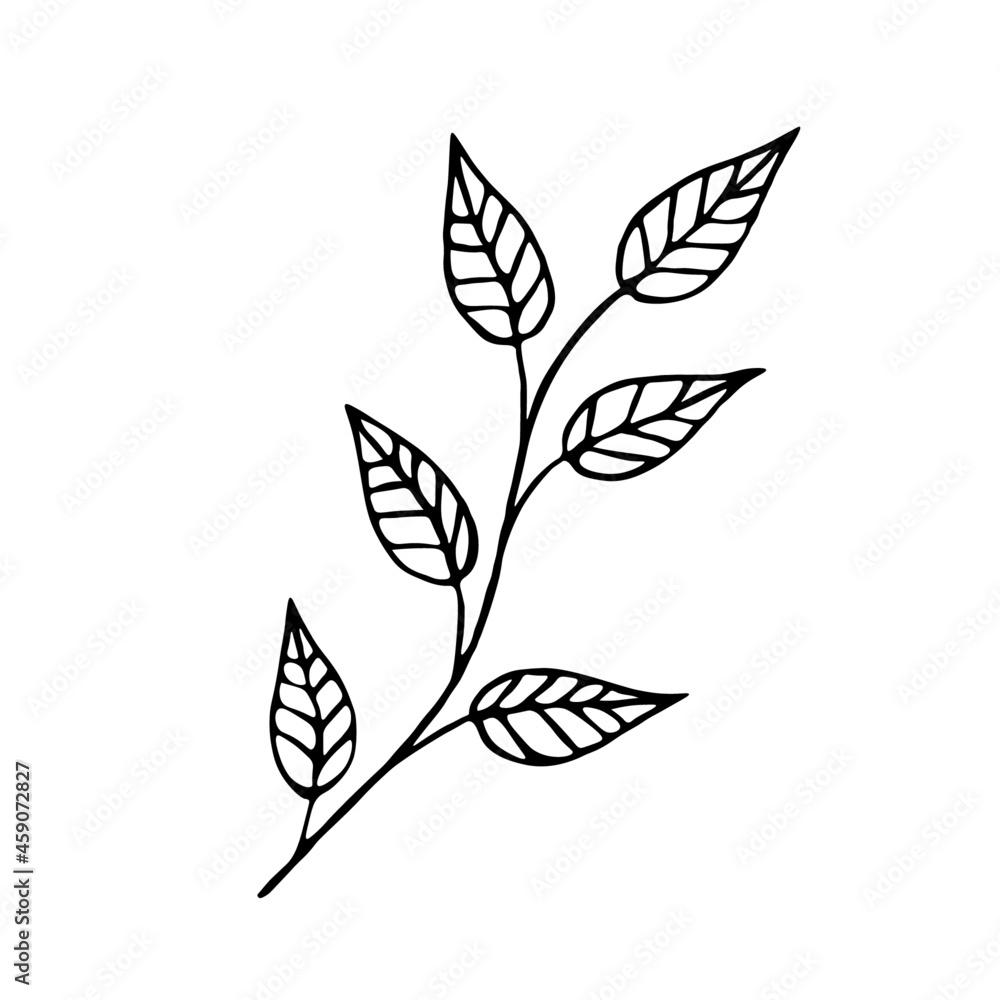 Vector illustration of an autumn branch with leaves. Doodle sketch. Design for print, banner, greeting card, logo, stickers, icons. Vector illustration of a branch on a white background. Vector illustration of an autumn branch with leaves. Doodle sketch. Design for print, banner, greeting card, logo, stickers, icons. Vector illustration of a branch on a white background.
