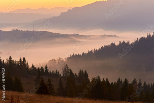 Landscape in the mountains. Autumn dawn against the background of forest and heavy fog