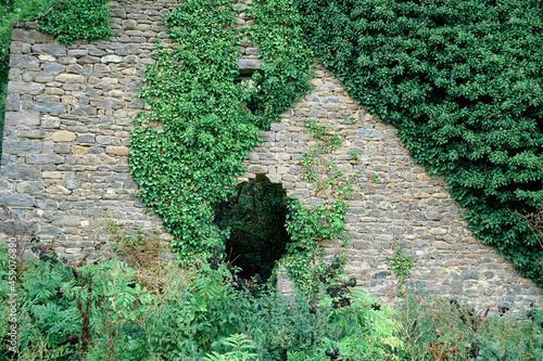 Abandoned house covered by vegetation in Janovas in the Pyrenees, Huesca in Spain.