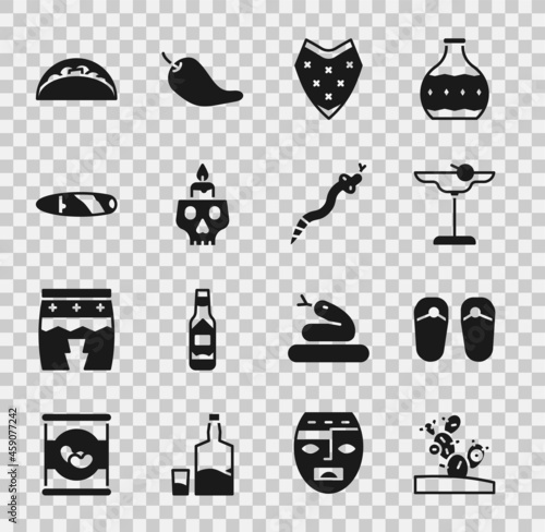 Set Cactus, Flip flops, Margarita cocktail, Poncho, Burning candle skull, Cigar, Taco with tortilla and Snake icon. Vector