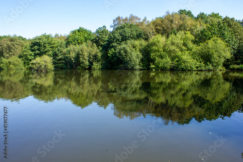 reflection of trees in the water