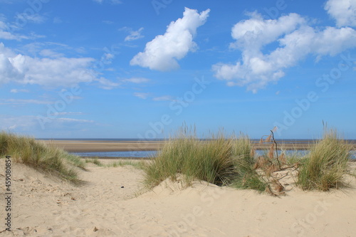 Fototapete Beautiful sandy beach vast landscape with grassy sand dune banks and blue sky wi