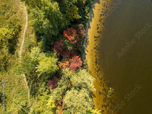 Yellow and red autumn trees on the river bank. Sunny autumn day. Aerial drone top view.