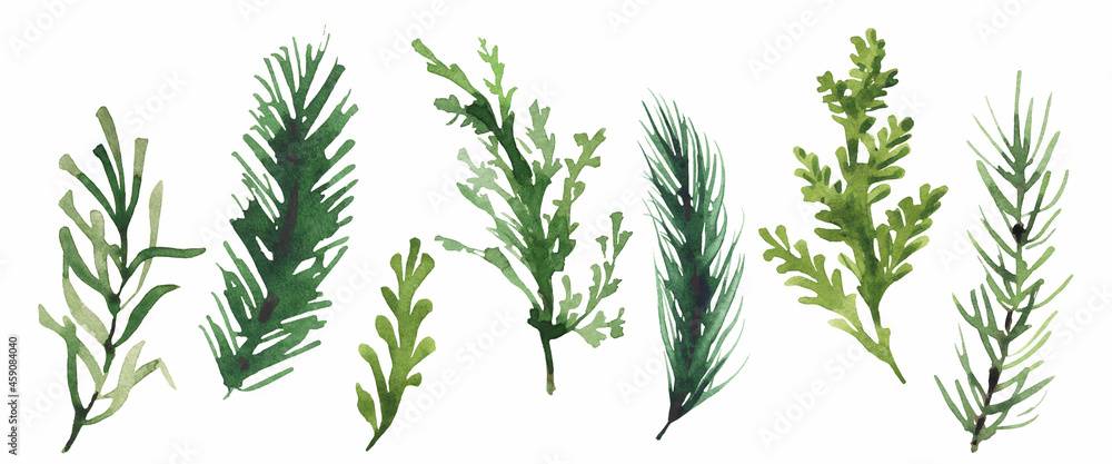 Isolated Christmas evergreen branch, leaves, greenery, fir tree etc. Traced vector watercolor set. Hand drawn illustration collection on white background. Water colour drawing. Isolated Christmas evergreen branch, leaves, greenery, fir tree etc. Traced vector watercolor set. Hand drawn illustration collection on white background. Water colour drawing.
