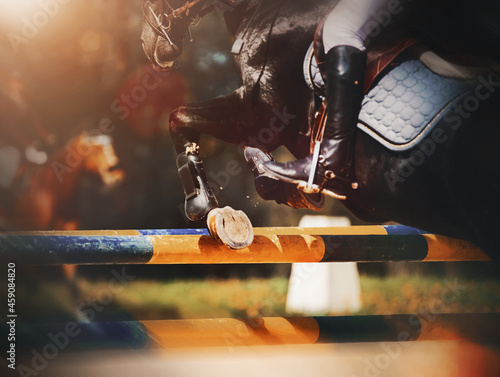 A black racehorse with a rider in the saddle quickly jumps over a high yellow-blue barrier on a sunny day. Equestrian competitions in show jumping. Horse riding.