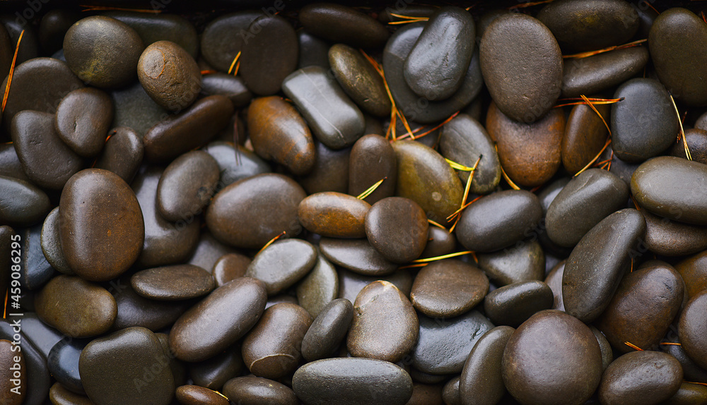 wet stones after the rain close-up wet stones after the rain close-up