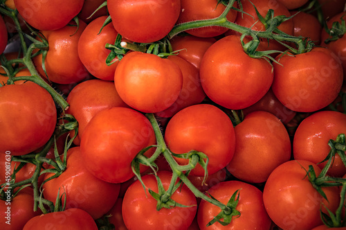 tomatoes